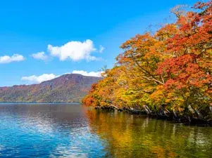 空港や主要の観光エリア等を定額で利用できるサービスも大変需要が多くドライバーの売上アップに貢献しています。