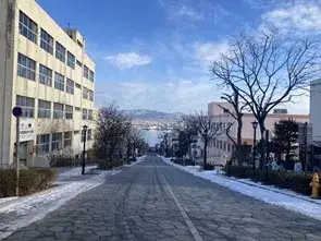 函館で観光ドライバーとして活躍しませんか？